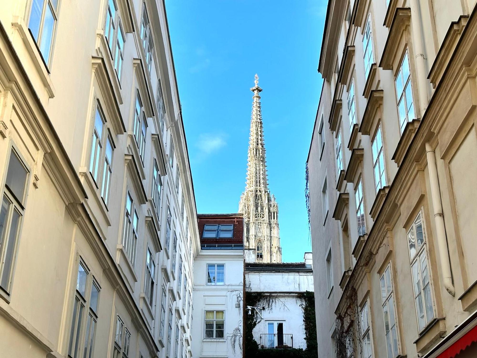 Central Stephansdom Apartment I Netflix I Self Check In Вена Экстерьер фото